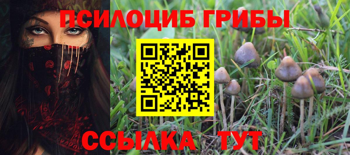 Псилоцибиновые грибы Magic Shrooms  Вход с VPN  Нефтеюганск  Псилоцибиновые грибы GOLDEN TEACHER 